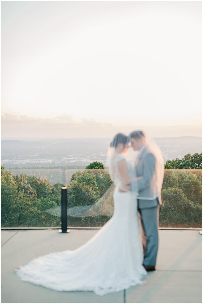 Burritt on the Mountain, Huntsville, AL Wedding